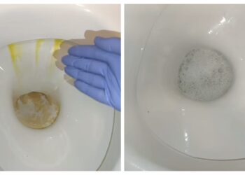 Pamirškite brangius valiklius: 2 paprasti ingredientai padės išblizginti santechniką