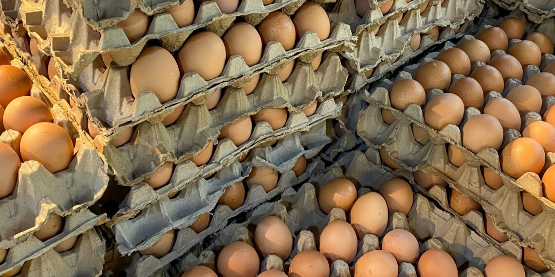Perkate kiaušinius iš kaimo? Ši lukšto spalva gali įspėti apie vištos sveikatą