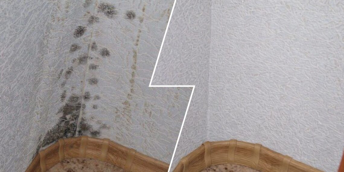 Po žiemos bute atsirado pelėsis? Pigi namų priemonė gali jį nuvalyti per minutę