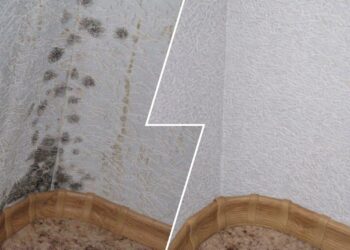 Po žiemos bute atsirado pelėsis? Pigi namų priemonė gali jį nuvalyti per minutę