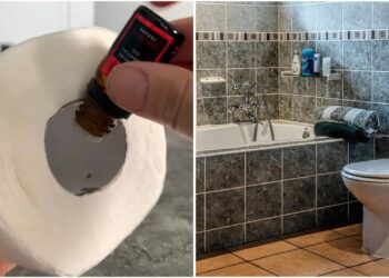 Paprastas triukas namuose: tualetinis popierius ir keli lašai aliejaus padės WC kvepėti savaites