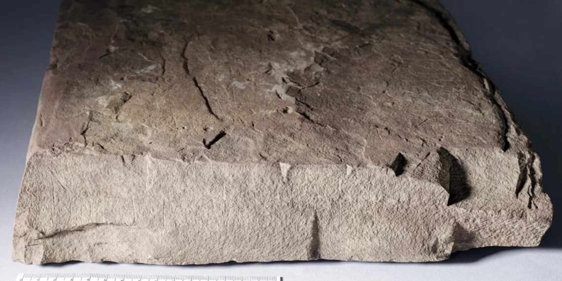 Sensacingas radinys Skandinavijoje: runų akmuo gali pakeisti tai, ką žinome apie rašto istoriją