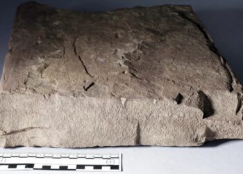 Sensacingas radinys Skandinavijoje: runų akmuo gali pakeisti tai, ką žinome apie rašto istoriją