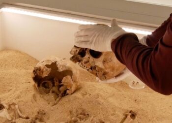 Reta genetinė liga aptikta ledynmečio palaikuose – ką tai reiškia mokslui?