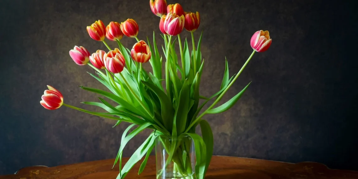 Paprastas triukas vandenyje: štai kaip priversti tulpes išsilaikyti daug ilgiau