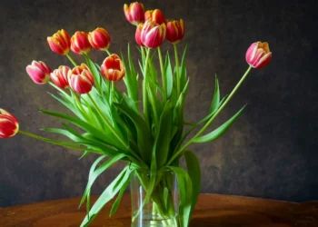 Paprastas triukas vandenyje: štai kaip priversti tulpes išsilaikyti daug ilgiau