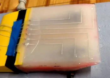 Mokslininkai sukūrė robotinį sparną su „elektronine oda“: po vandeniu stabilumas išaugo net 87 %