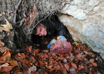 Slovakijoje atrastas naujas mineralas: mokslininkus nustebino vieta, kur jis susiformavo