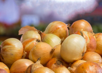 Sodininkai dažnai daro šią klaidą: agronomas paaiškino, kaip tręšti svogūnus