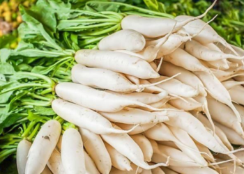 9 iš 10 daržininkų daro šią klaidą: kaip teisingai persodinti ridikus