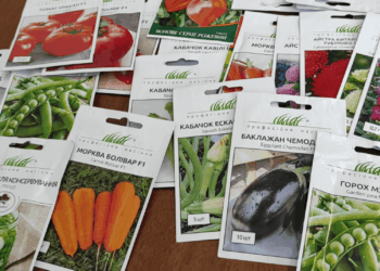 Sodininkus nustebinusi tiesa: data ant sėklų pakelio dar ne viską pasako