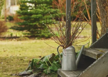 Didžiausios kovo klaidos sode: sodininkai įspėja, ko jokiu būdu nedaryti