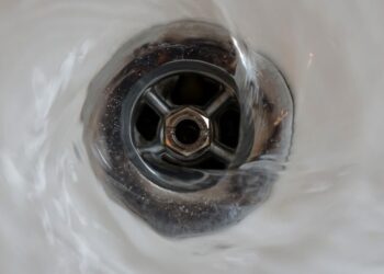 Škotijoje – radikalus pokytis: mirusieji bus tirpinami šarmu ir išleidžiami į nuotekas