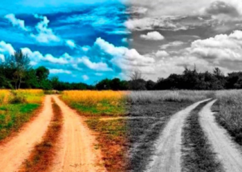 Keistas, bet populiarėjantis būdas pakelti energiją: apie jį kalba vis daugiau žmonių