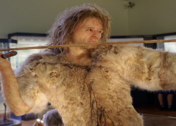 122 tūkst. metų senumo genomas atskleidžia netikėtų detalių apie žmonių ir neandertaliečių ryšius