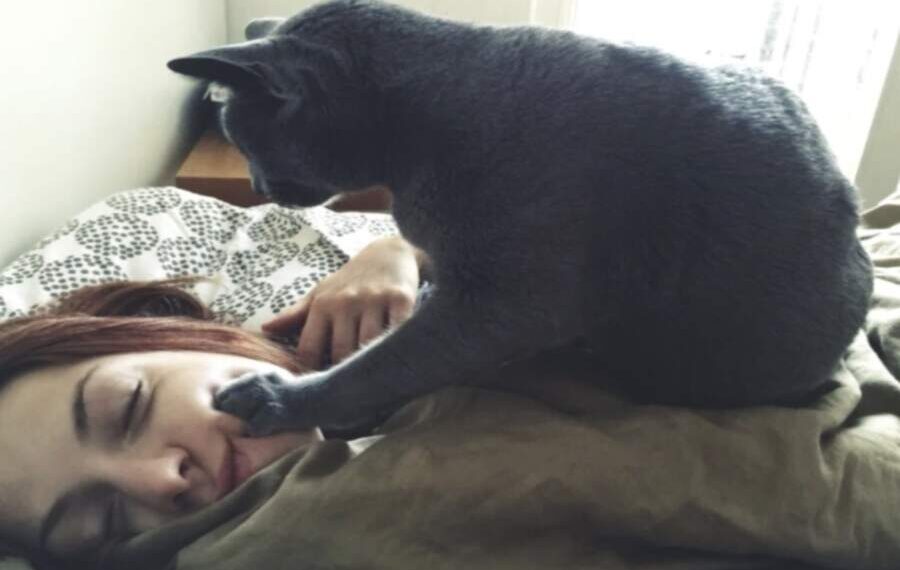 Ką katės veikia, kai šeimininkai miega? Veterinarai atskleidė netikėtų faktų