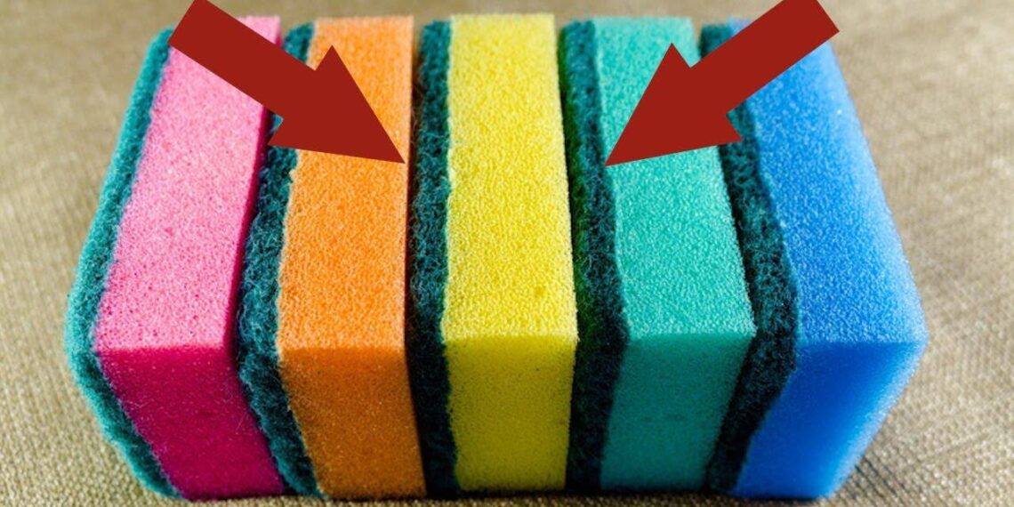 Nuo vonios iki šaldiklio: 20 centų kempinėlė pravers netikėtose vietose