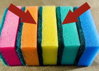 Nuo vonios iki šaldiklio: 20 centų kempinėlė pravers netikėtose vietose