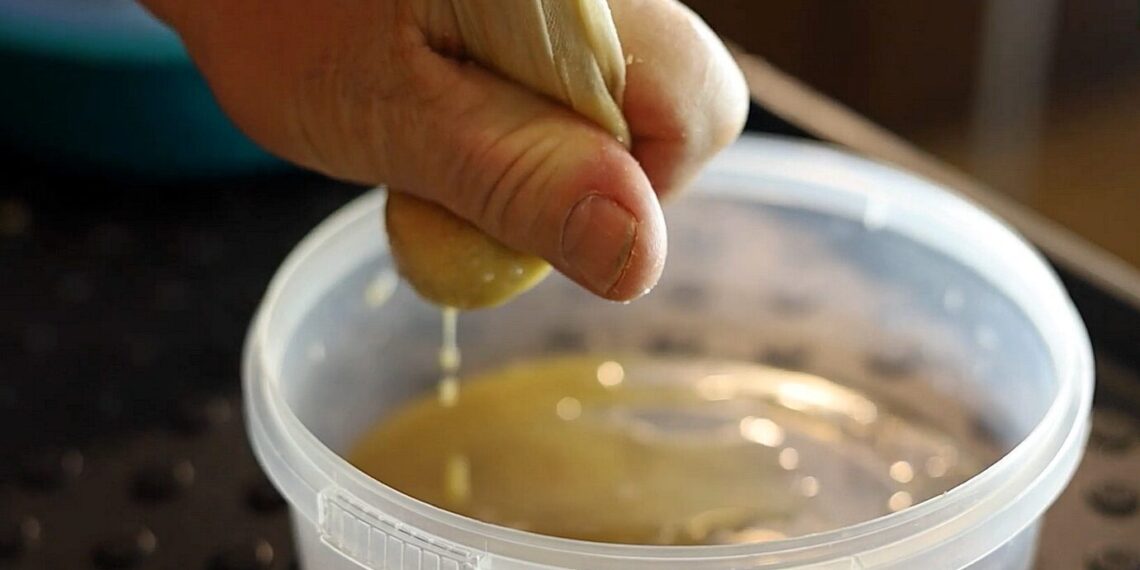 Sodininkų triukas: paprastas virtuvės prieskonis gali paskatinti sėklų dygimą