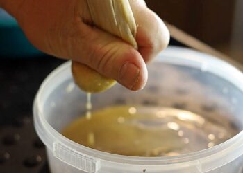 Sodininkų triukas: paprastas virtuvės prieskonis gali paskatinti sėklų dygimą