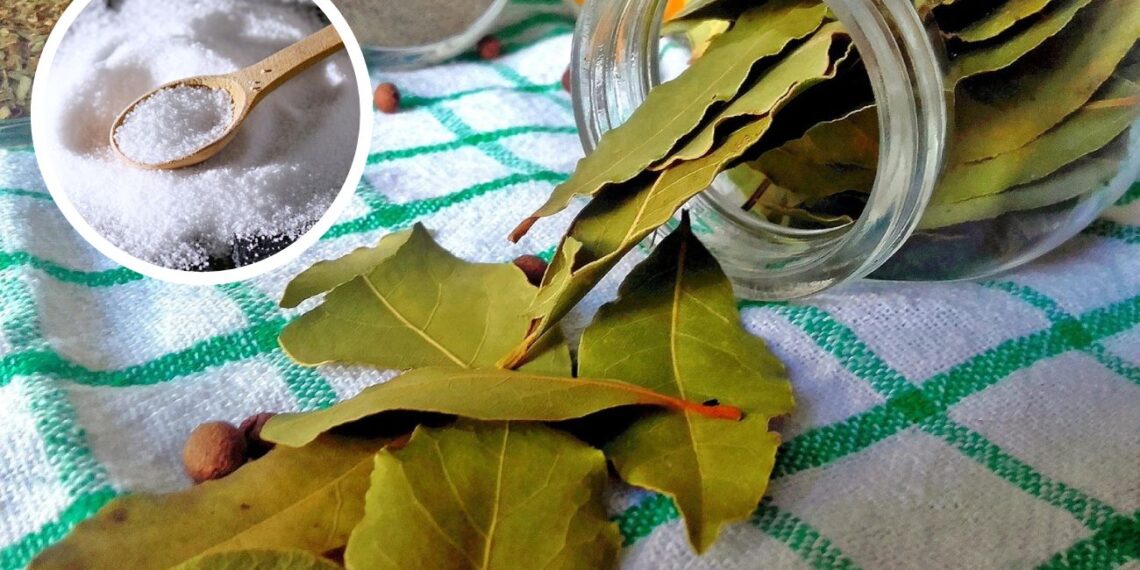 Keisti namų triukai: lauro lapas kambaryje ir pipirai skalbimo mašinoje turi netikėtą naudą
