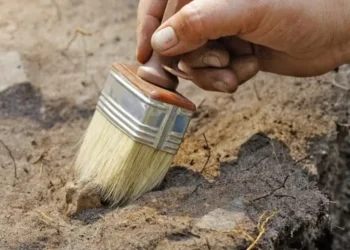 Archeologų mįslė Švedijoje: vaiko kapas su paukščių plunksnomis glumina tyrėjus