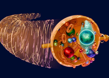 Mokslininkai sprendžia mįslę: trys ryšiai gali apversti biologijos teorijas