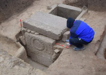 Vėtra išvertė medį ir atskleidė paslaptį: rastas romėnų centuriono kapas