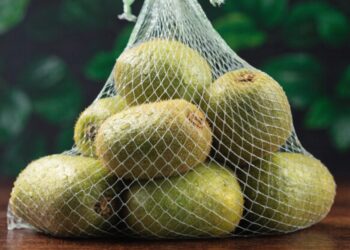 Visi išmeta kivi sėklyčių tinklelį, bet be reikalo: štai kaip jis gali praversti namuose